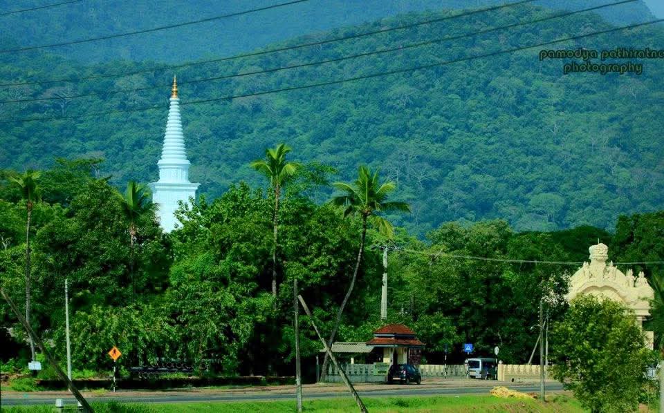 Scenic Ella Highlands - Hidden Lanka Weligama